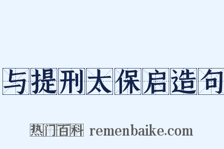 与提刑太保启造句是什么意思的图片